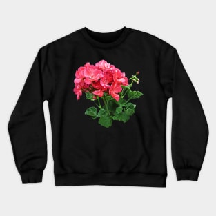 Geraniums - Geranium Relaxing Crewneck Sweatshirt